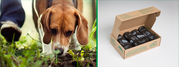 Buy Compostable & Biodegradable Dog Waste Bags in Bulk - BioBag 