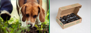 Compostable Dog Waste Bags | Eco-Friendly Dog Bags