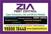 ZIA PEST CONTROL| Hygienic Deep Cleaning for a Fresh |Call Us Today -